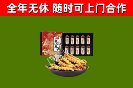 顺城烟酒回收冬虫夏草礼盒.jpg
